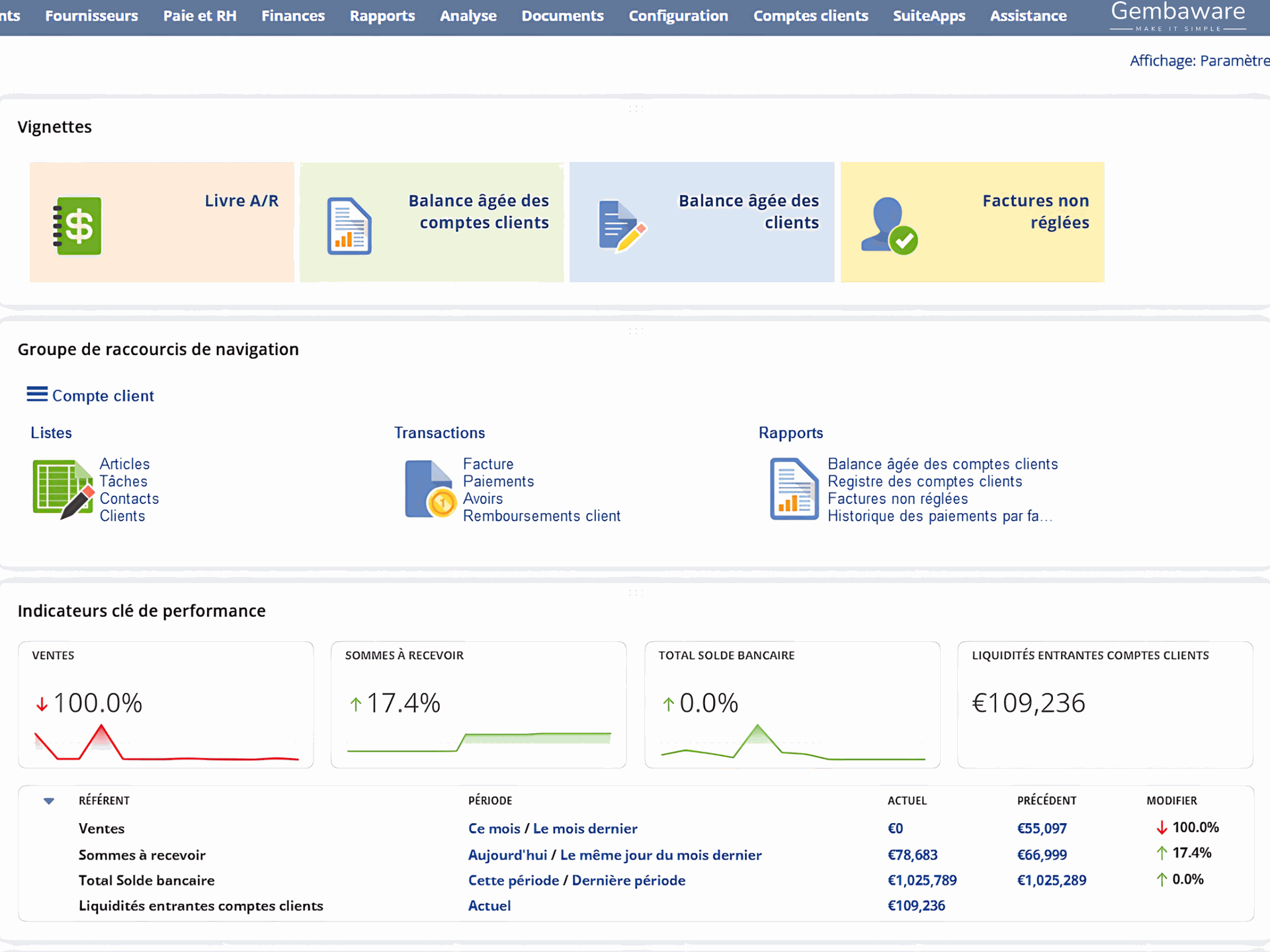 Customisation NetSuite Aperçu d'un écran NetSuite